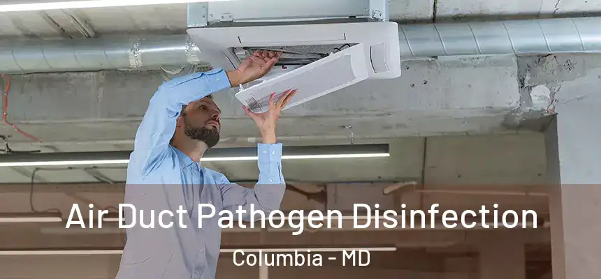  Air Duct Pathogen Disinfection Columbia - MD