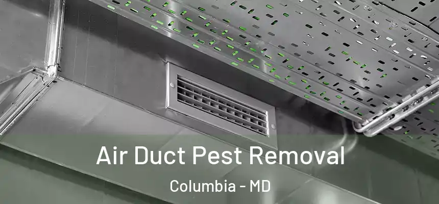 Air Duct Pest Removal Columbia - MD