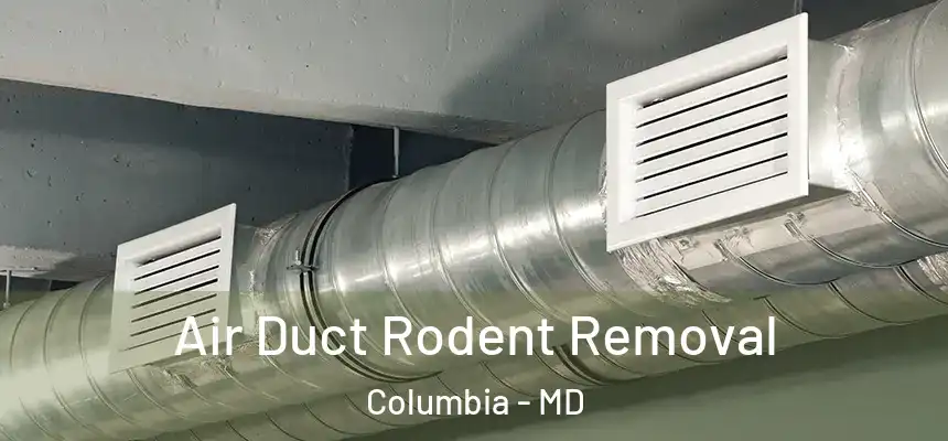 Air Duct Rodent Removal Columbia - MD