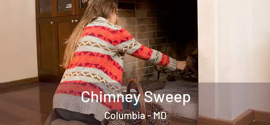Chimney Sweep Columbia - MD