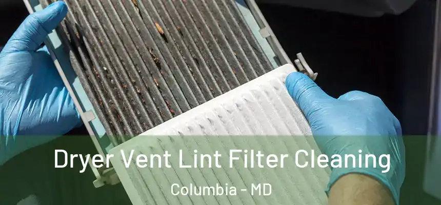 Dryer Vent Lint Filter Cleaning Columbia - MD