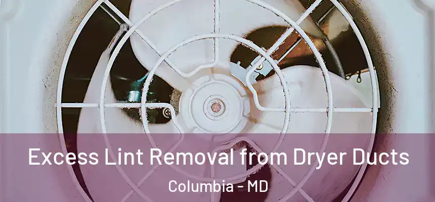 Excess Lint Removal from Dryer Ducts Columbia - MD