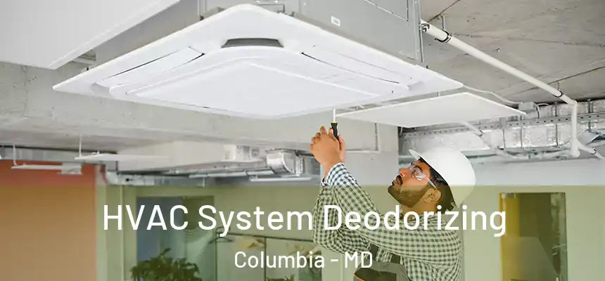 HVAC System Deodorizing Columbia - MD