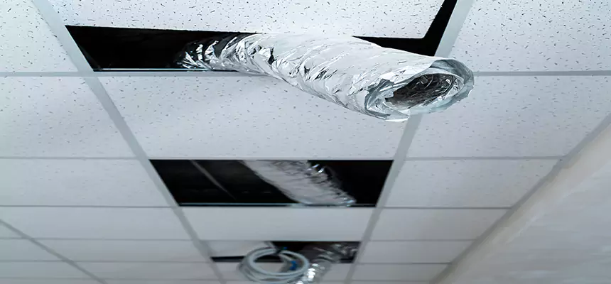 Our Air Duct Pet Hair Removal Services in Columbia, MD