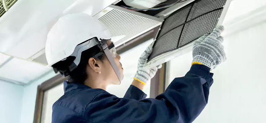 Our Mold & Mildew Removal from Air Ducts Services in Columbia, MD