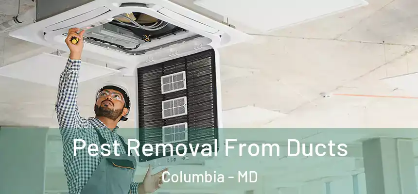 Pest Removal From Ducts Columbia - MD