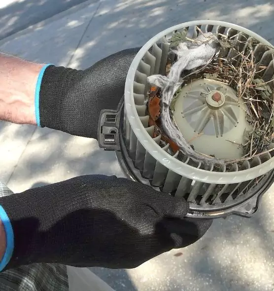 About Air Duct Rat Removal in Columbia, MD