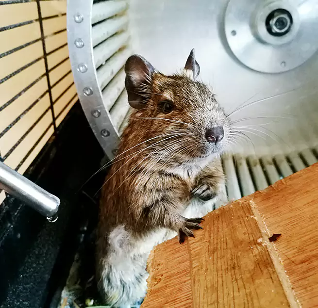 Why Homeowners & Businesses Trust Us Columbia, MD